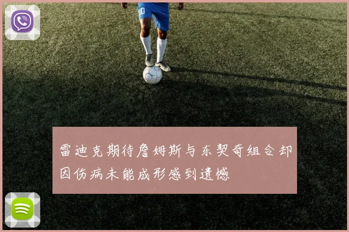 雷迪克期待詹姆斯与东契奇组合却因伤病未能成形感到遗憾